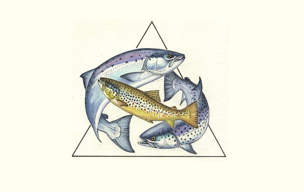 River Deveron Fishing Rules