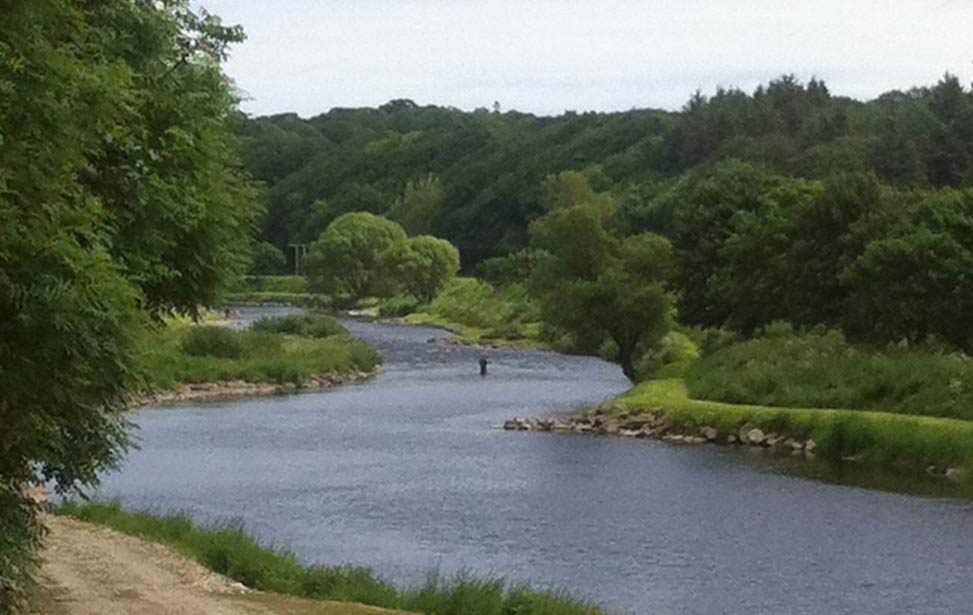 River Deveron Salmon Fishing